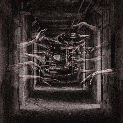 Demonic Possessor - Porous Chambers |-