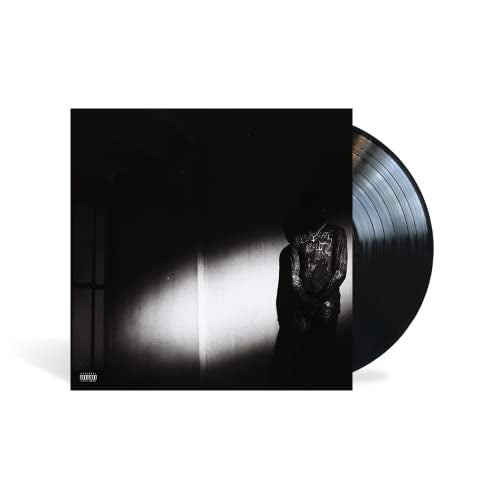 Destroy Lonely - NO STYLIST (VINYL LP Opium/Interscope B0036789-01) | NEW-