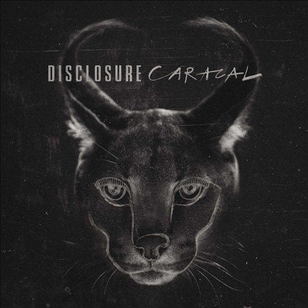Disclosure - Caracal (CD) |-