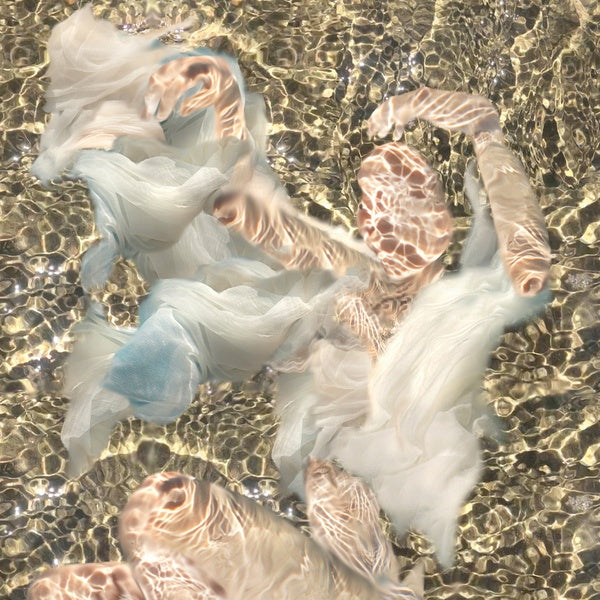 DOLPHIN MIDWIVES - Body Of Water |-
