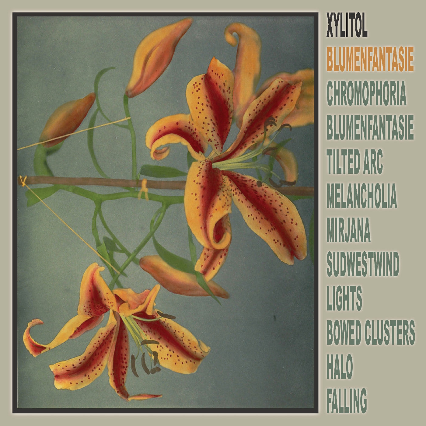 Xylitol - Blumenfantasie (VINYL) |-