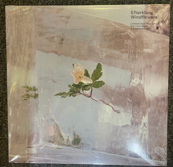 Windflowers | Mint (M) Mint (M)-