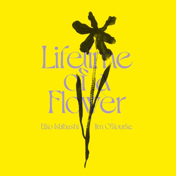 EIKO ISHIBASHI/JIM O'ROURKE - Lifetime of a Flower |-