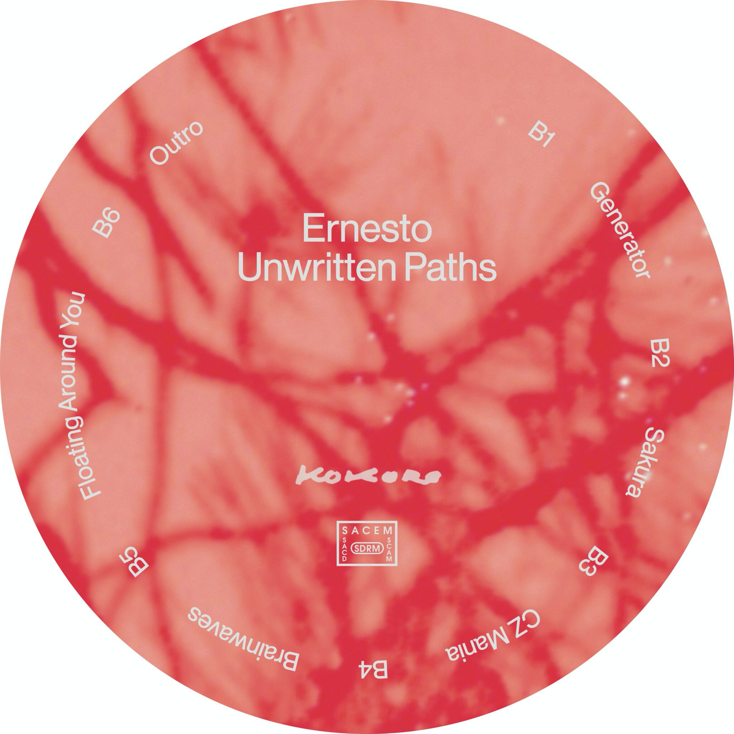 Ernesto - Unwritten Paths (VINYL) | Mint (M) Mint (M)-