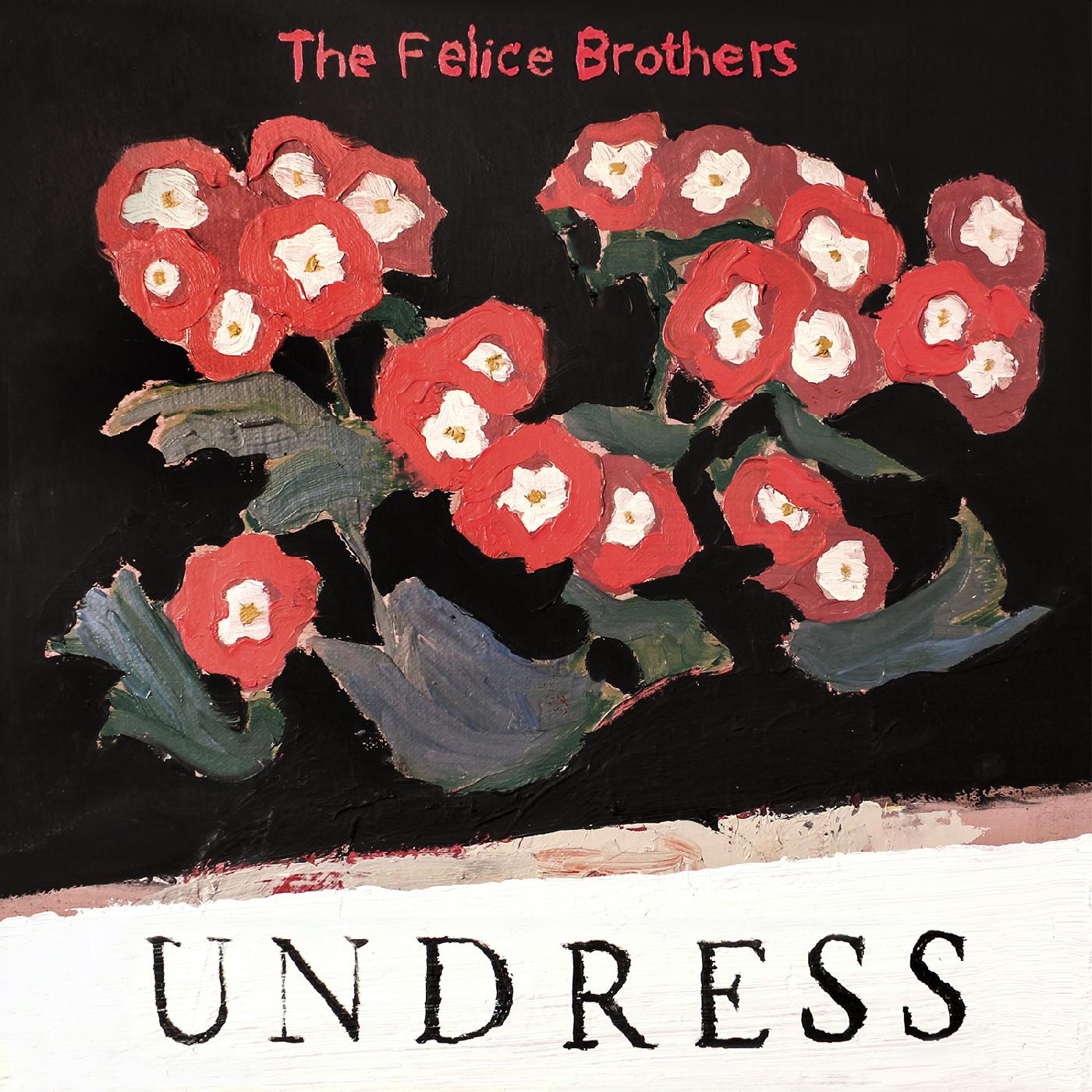 Felice Brothers, The - Undress (CD) | Mint (M) Mint (M)-