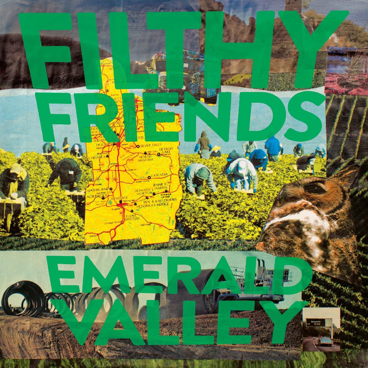 Filthy Friends - Emerald Valley (CD) | Mint (M) Mint (M)-
