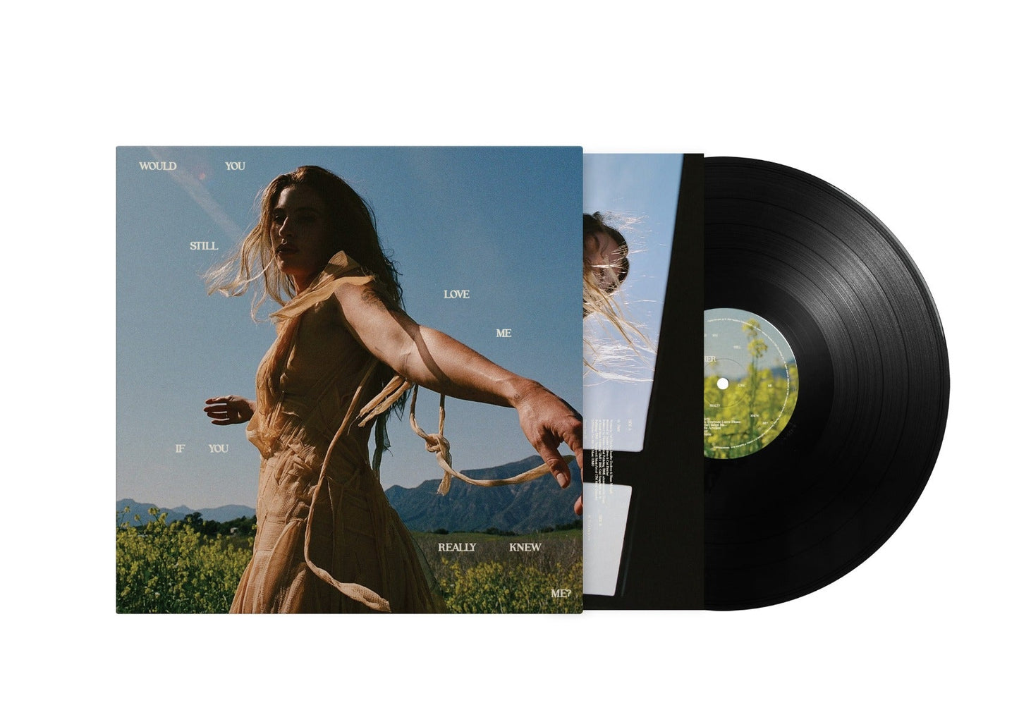 FLETCHER - Would You Still Love Me If You Really Knew Me? (Black VINYL) | Mint (M) Mint (M)-