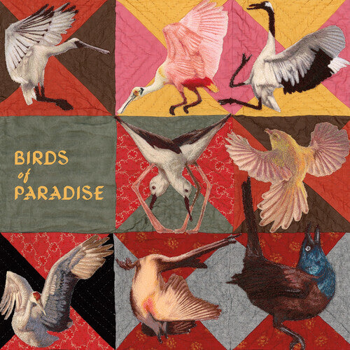 Thomas Dollbaum - Birds of Paradise (PINK VINYL) | Mint (M) Mint (M)-