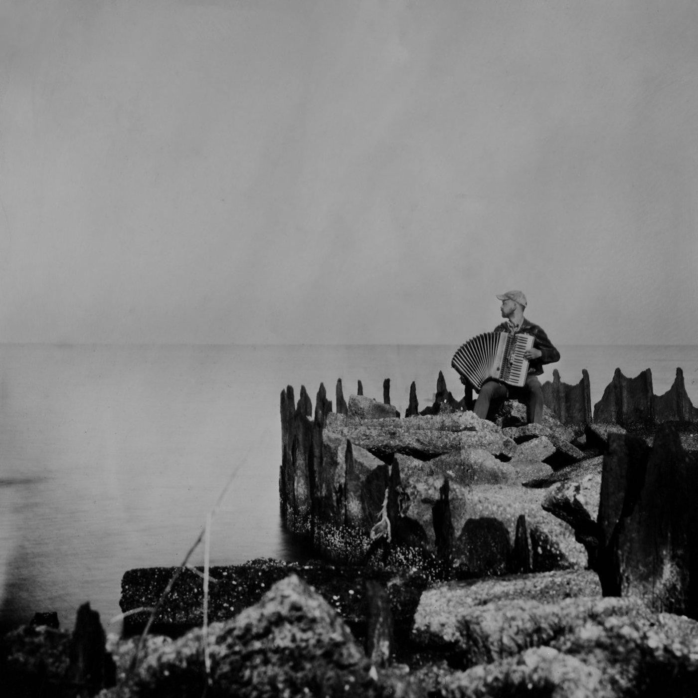 McClements, Walt - A Hole In The Fence |-