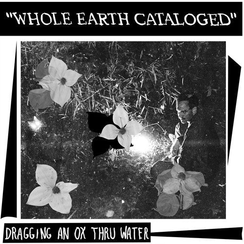 Dragging An Ox - (PRESALE 5/29/26) Whole Earth Catalogued (VINYL) | Mint (M) Mint (M)-