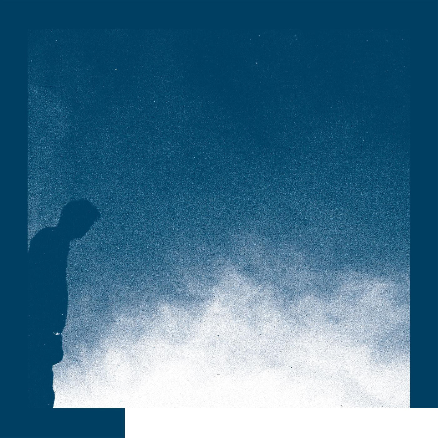 Allred, David - The Transition (CD) | Mint Mint-
