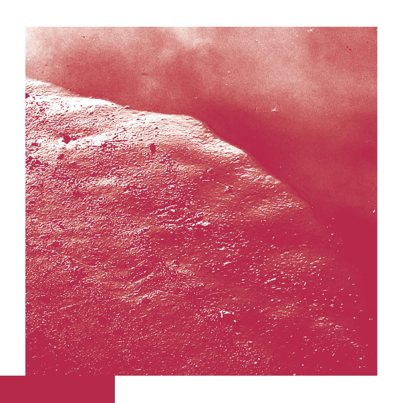 Allred, David - The Cell |-