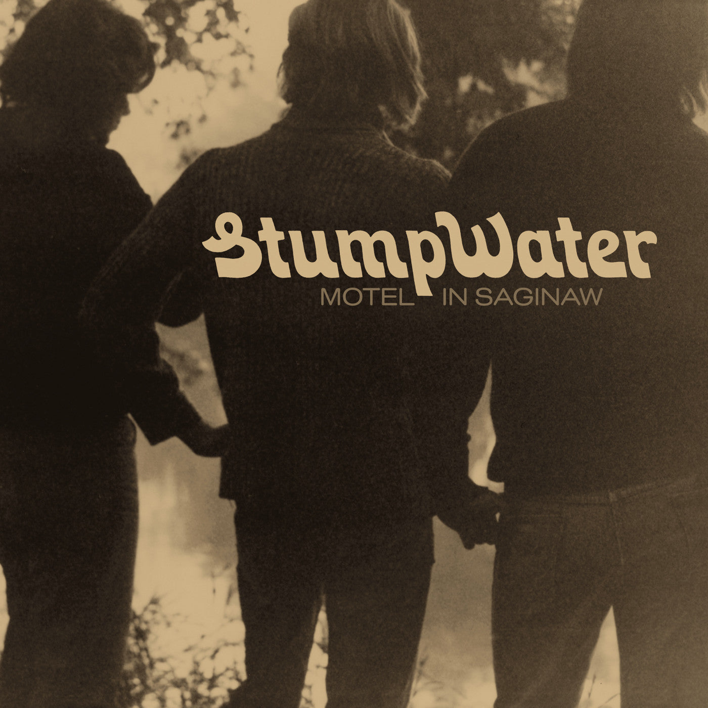 Stumpwater - Motel In Saginaw (Vinyl) | Mint (M) Mint (M)-