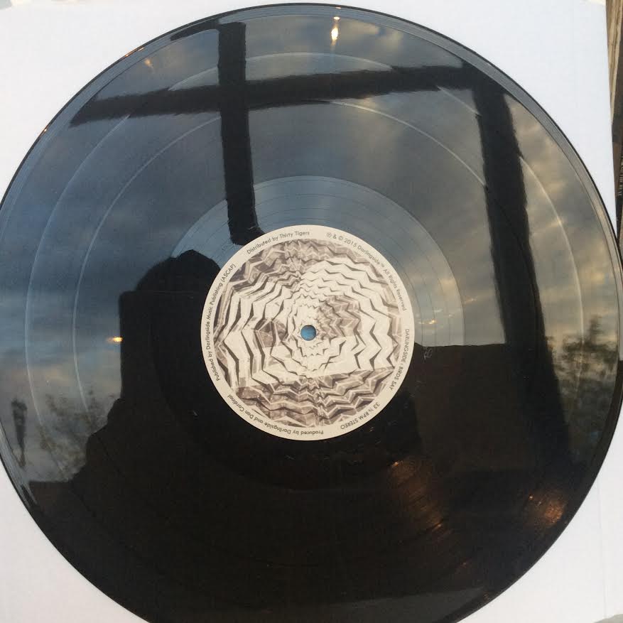 Darlingside - Birds Say (2xVINYL) | Near Mint (NM) Near Mint (NM)-