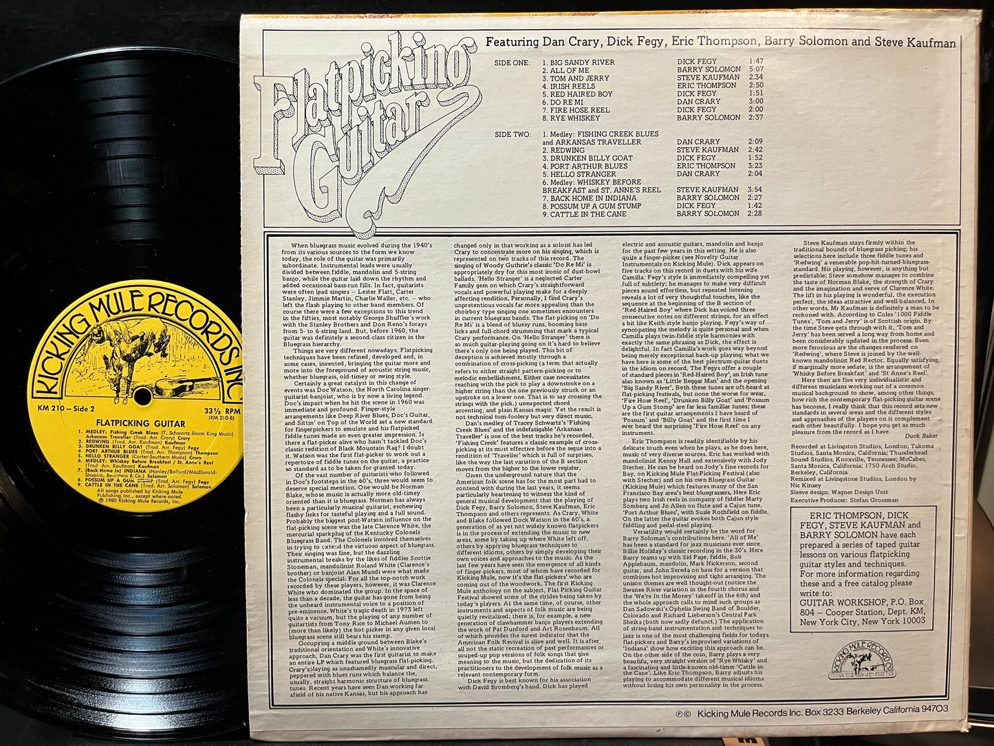 Various - Flatpicking Guitar (VINYL LP KICKING MULE KM 210 1980) | USED Near Mint (NM or M-) Near Mint (NM)-