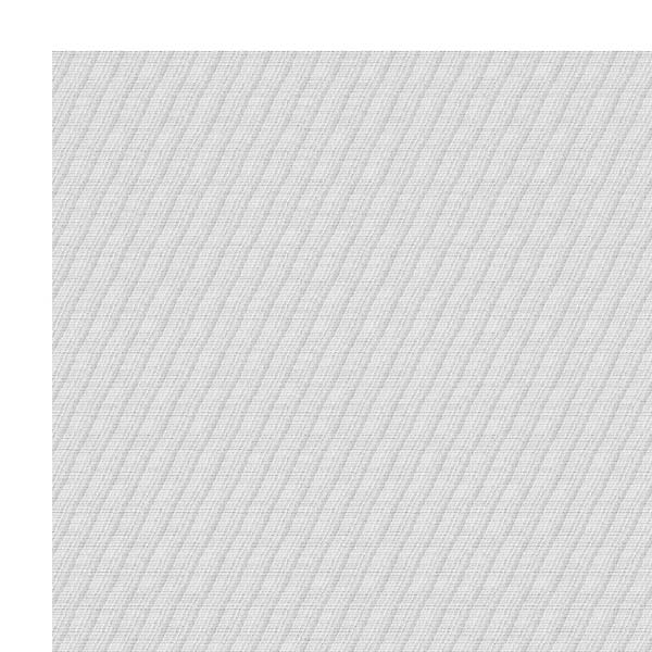 FRANCISCO LOPEZ - UNTITLED#300 |-