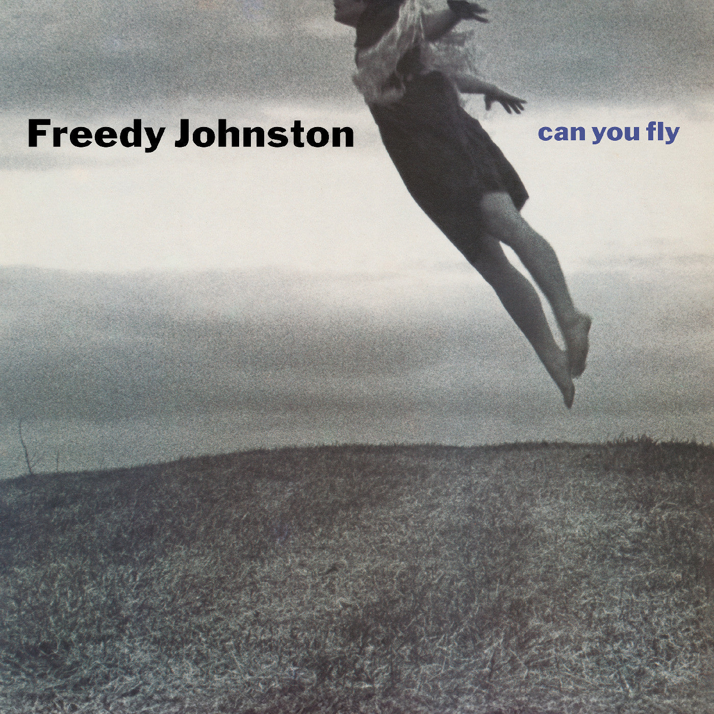 Freedy Johnston - Can You Fly (Deluxe Edition CD) | Mint (M) Mint (M)-