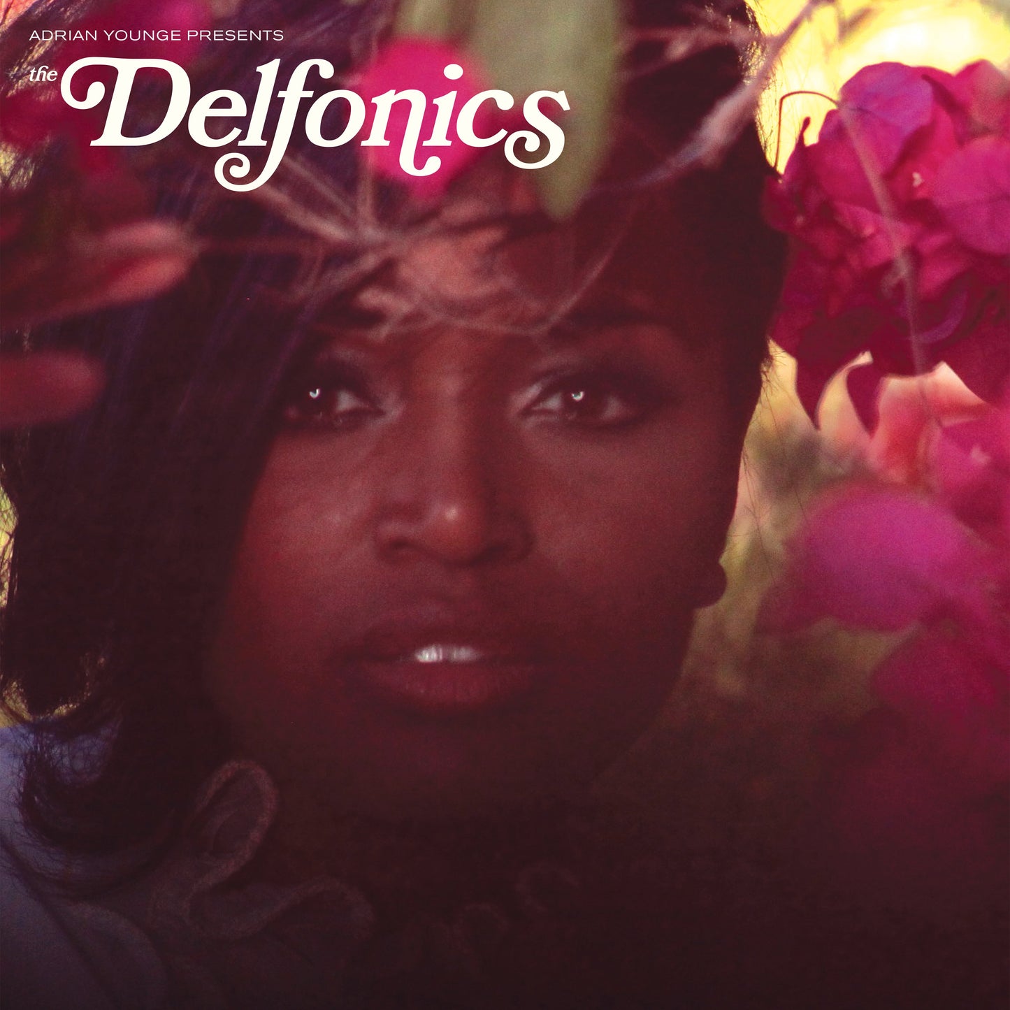 Adrian Younge Presents The Delfonics (VINYL) | Mint (M) Mint (M)-