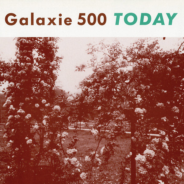Today (VINYL) |-