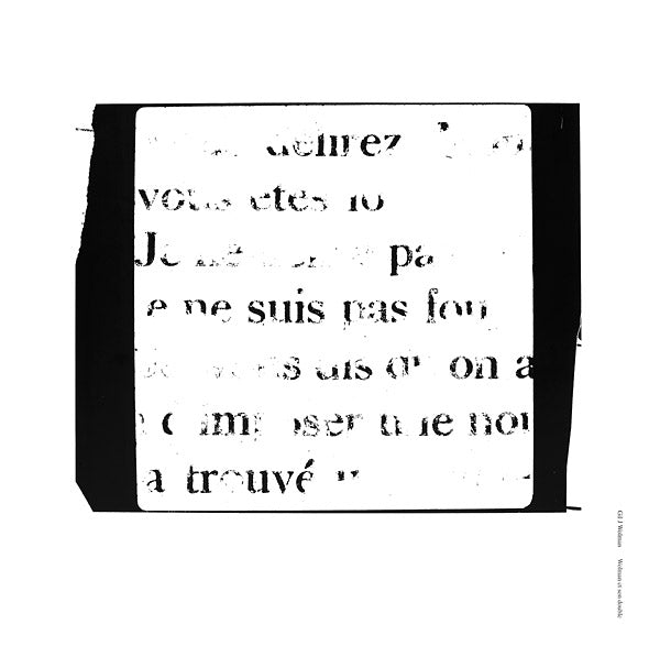 GIL J. WOLMAN - Wolman et son double |-
