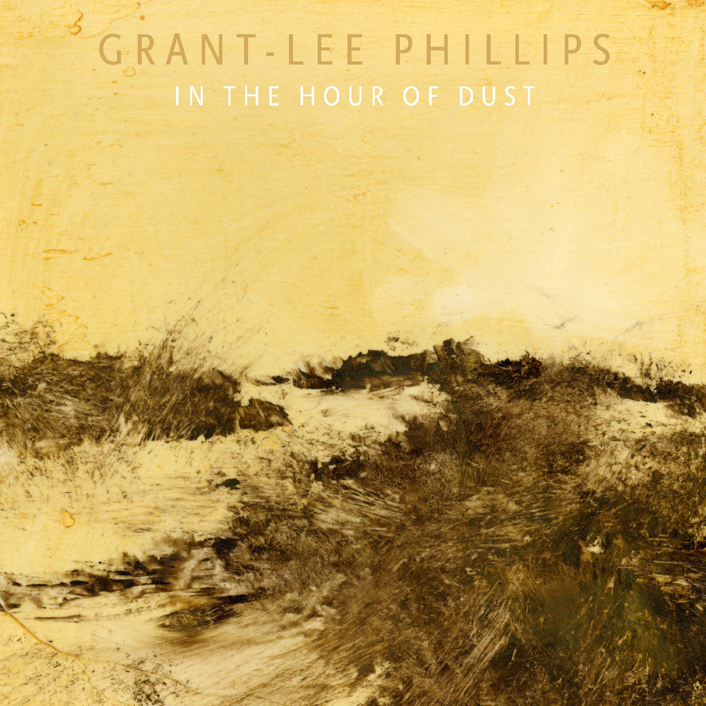 Grant-lee Phillips - In The Hour Of Dust (Signed) (Clear Golden Smoke VINYL) | Mint (M) Mint (M)-