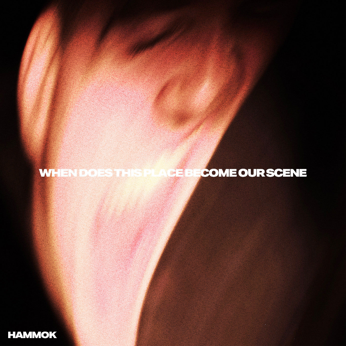 Hammok - When Does This Place Become Our Scene (DIGIPAK CD) | Mint (M) Mint (M)-