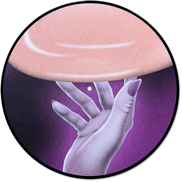 Flamingosis - Daymaker (PICTURE VINYL) | Mint (M) Mint (M)-