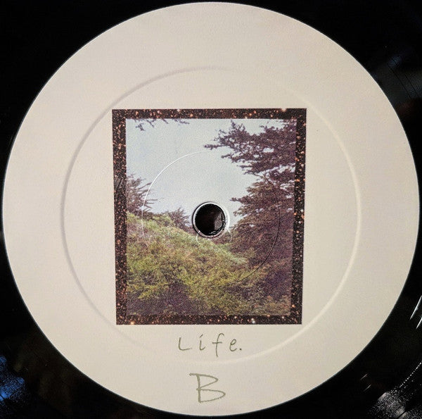 Jinsang - Life. (VINYL) | Mint (M) Mint (M)-