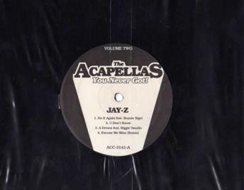 Jay-Z - The Acapellas You Never Got! Volume Two (12" VINYL) | Near Mint (NM) Generic-