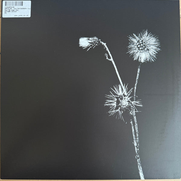 Jon Dasilva - Sun Brings Joy (VINYL) | Mint (M) Mint (M)-