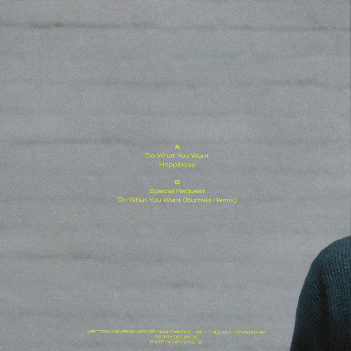 Dam Swindle - Do What You Want (VINYL 12" PIV PIV081 2026) | NEW-