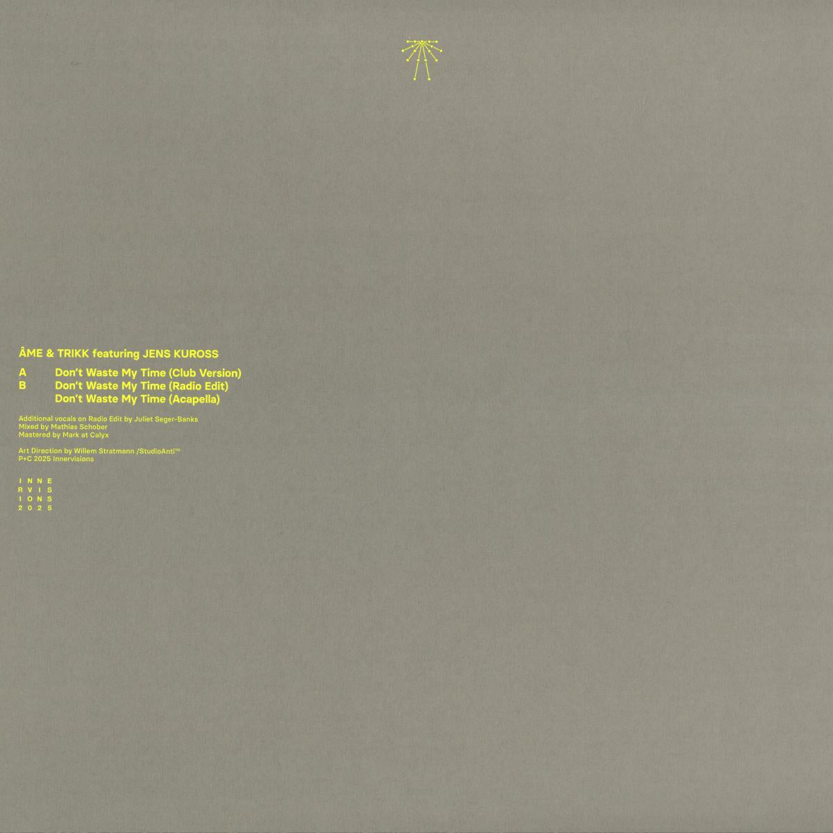 Don't Waste My Time (VINYL 12") | Mint (M) Mint (M)-