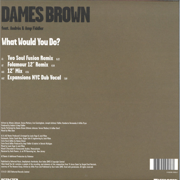 What Would You Do? (VINYL) |-