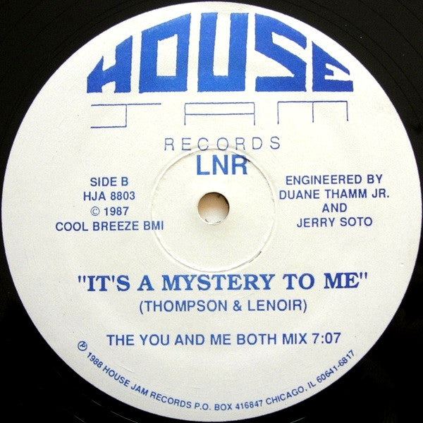 LNR - Work It To The Bone (VINYL 12" HOUSE JAM HJA 8803 1988) | USED Excellent (EX) Generic-
