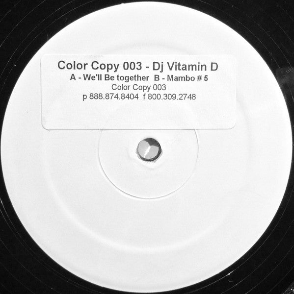 DJ Vitamin D - We'll Be Together | Near Mint (NM) Generic-