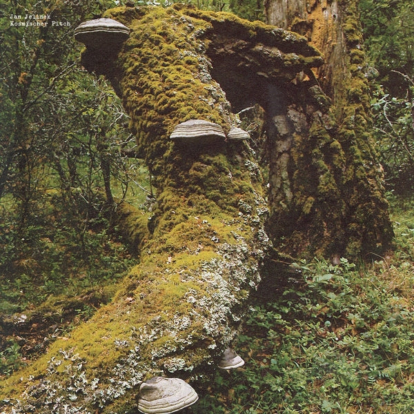 Jan Jelinek - Kosmischer Pitch (VINYL) |-