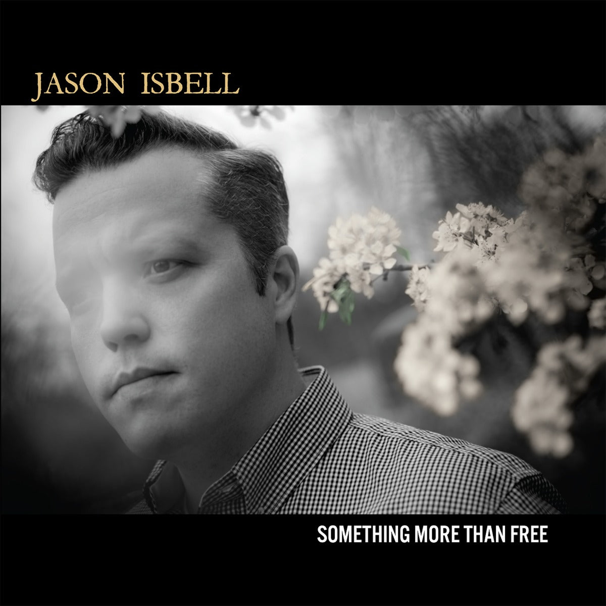 Jason Isbell - Something More Than Free (10 Year Anniversary IEX BLUE 2xVINYL) | Mint (M) Mint (M)-
