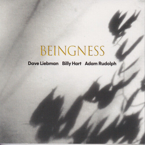 Dave Leibman - Beingness (WHITE VINYL) | Mint (M) Mint (M)-
