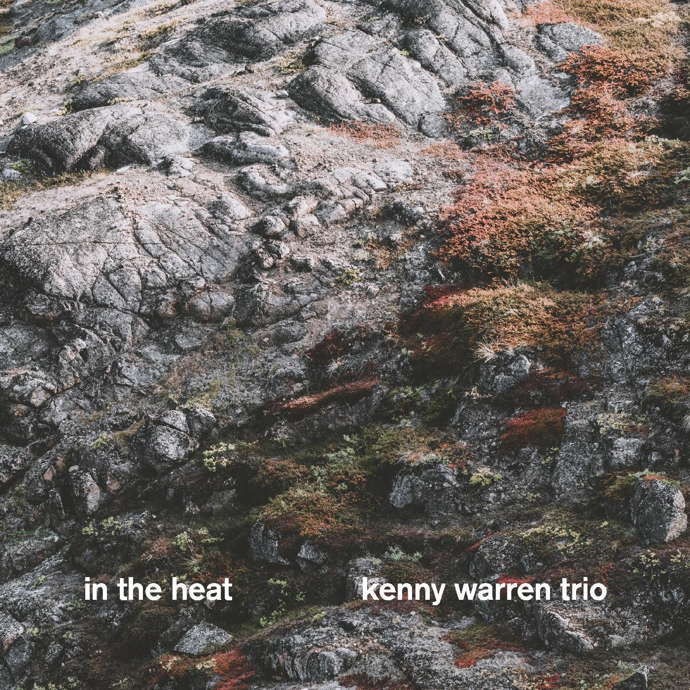 Warren, Kenny Trio - In The Heat (CD) |-