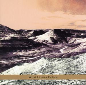 Goldberg / Schott / Sarin Trio - What Comes Before (CD) | Mint (M) Mint (M)-