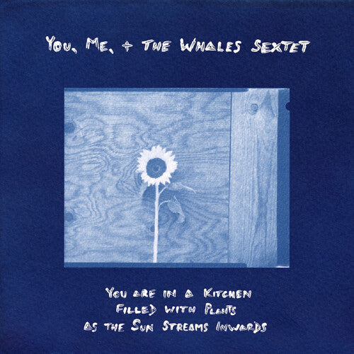 You, Me, + the Whales Sextet - (PRESALE 6/5/26) You are in a Kitchen Filled with Plants as the Sun... (VINYL) | Mint (M) Mint (M)-