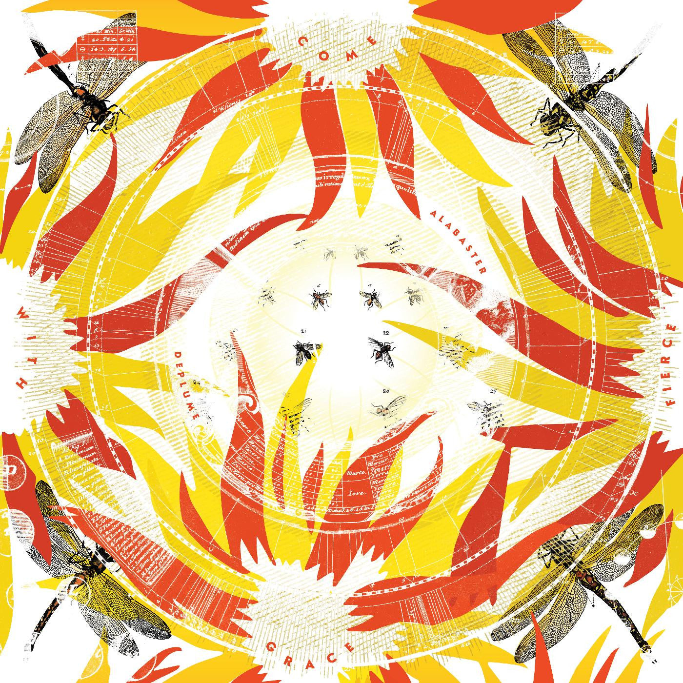 DePlume, Alabaster - Come With Fierce Grace |-