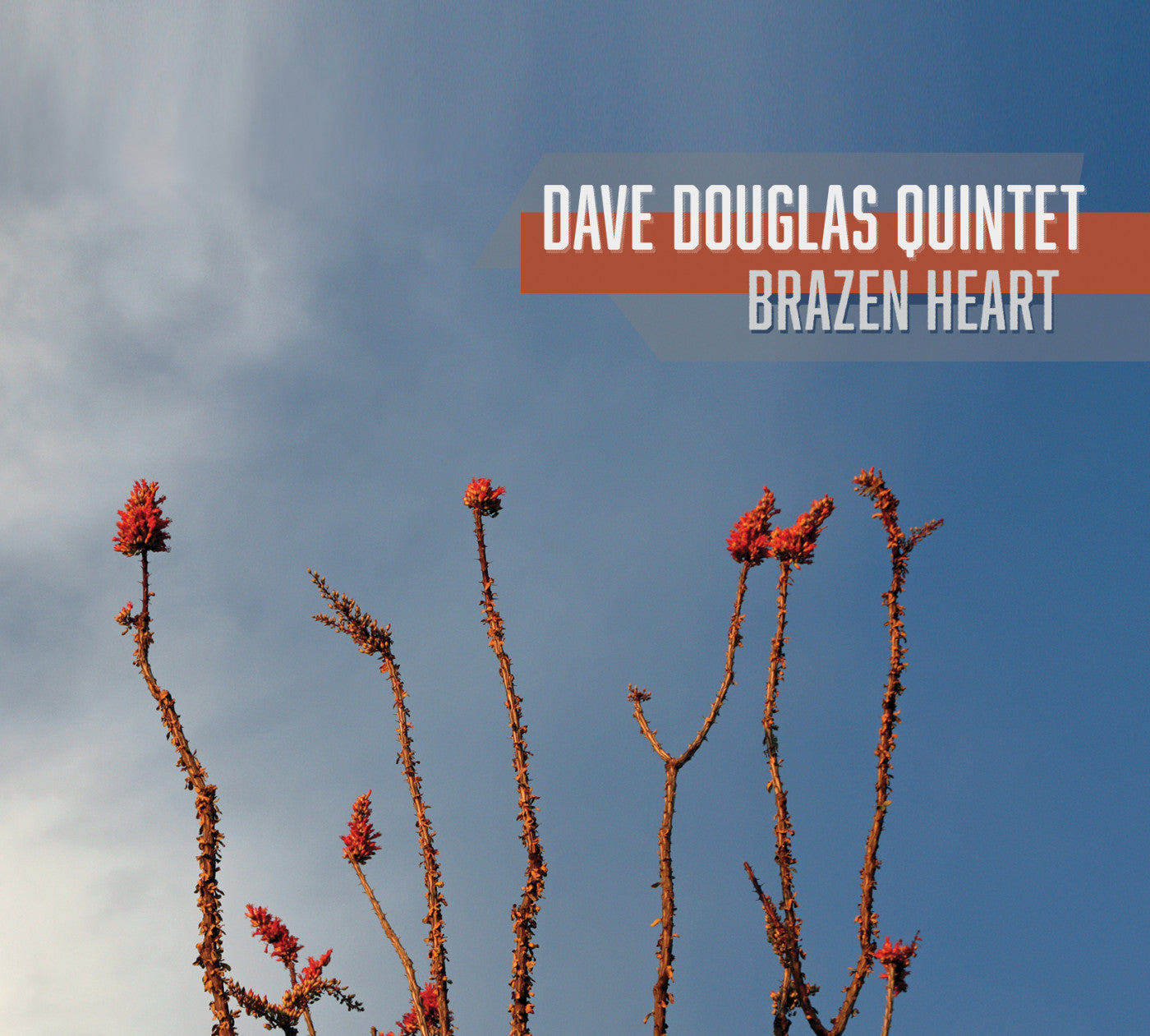 Douglas, Dave Quintet - Brazen Heart (CD) |-
