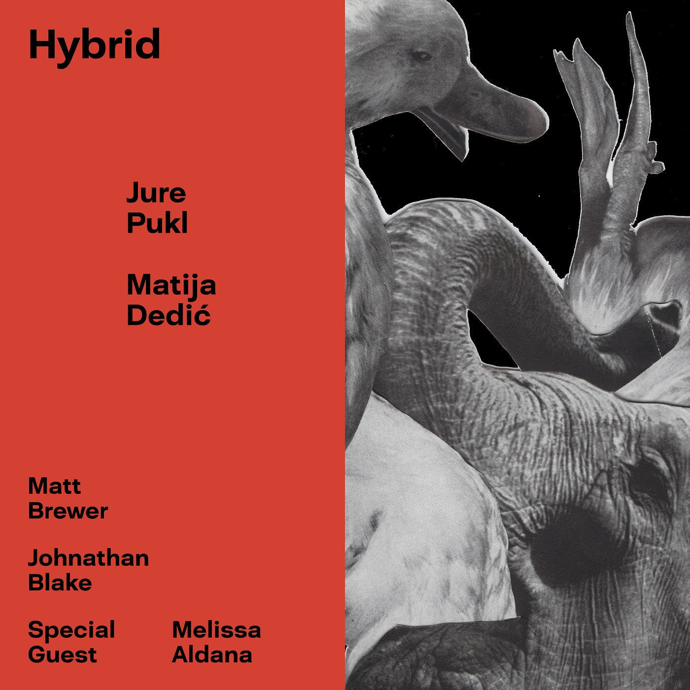 Pukl, Jure & Matija Dedic - Hybrid (CD) | Mint (M) Mint (M)-