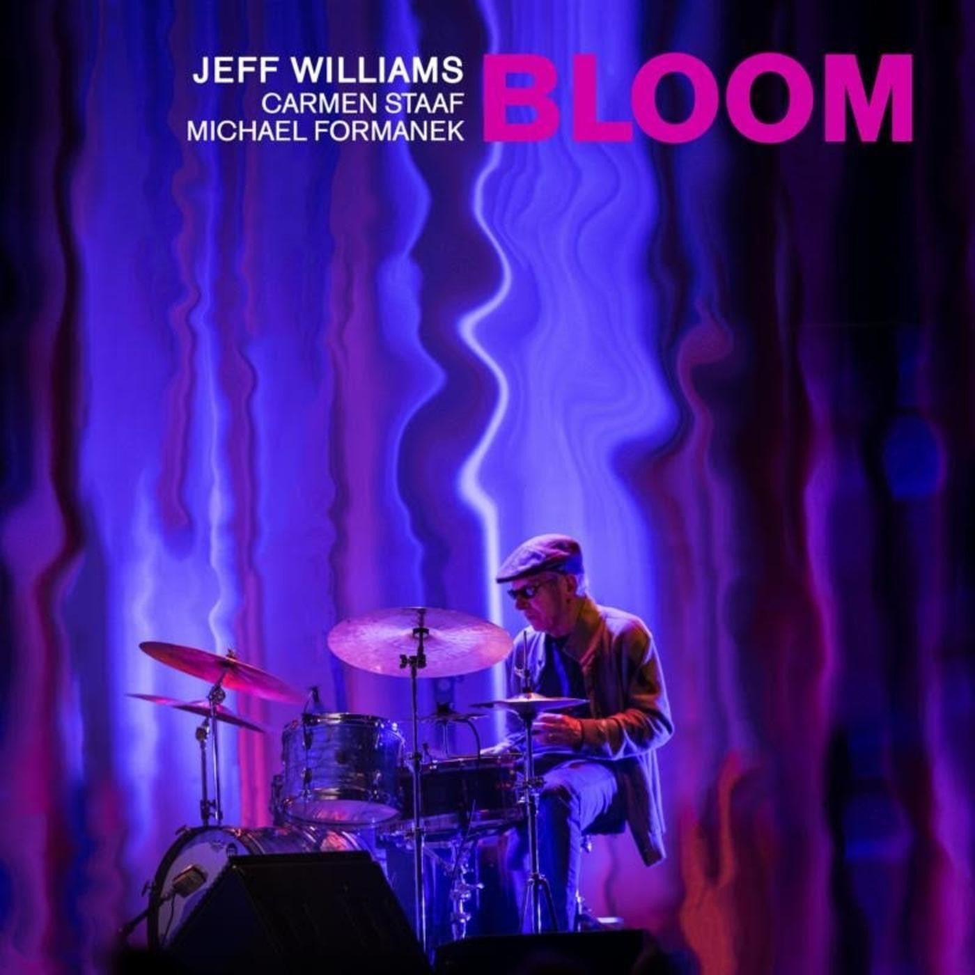 Williams, Jeff - Bloom (CD) |-