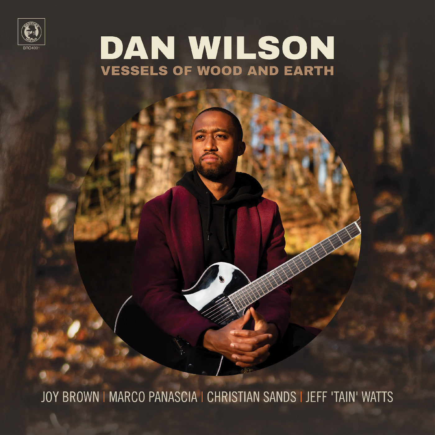 Wilson, Dan - Vessels of Wood and Earth (CD) |-