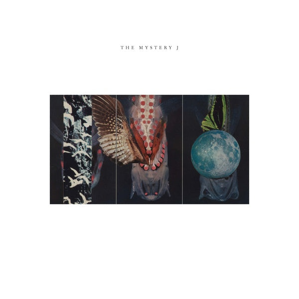 JOE MCPHEE, JEN CLARE PAULSON, BRIAN LABYCZ - The Mystery J |-