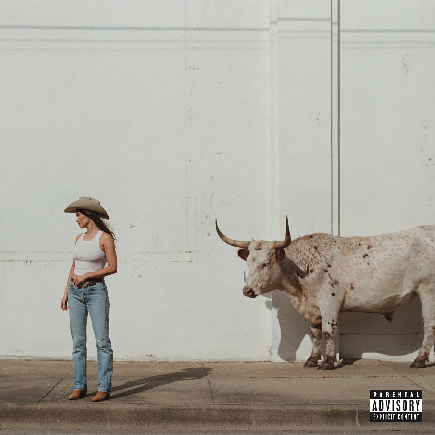 Kacey Musgraves - Middle Of Nowhere (Whiskey Vinyl) | Mint (M) Mint (M)-