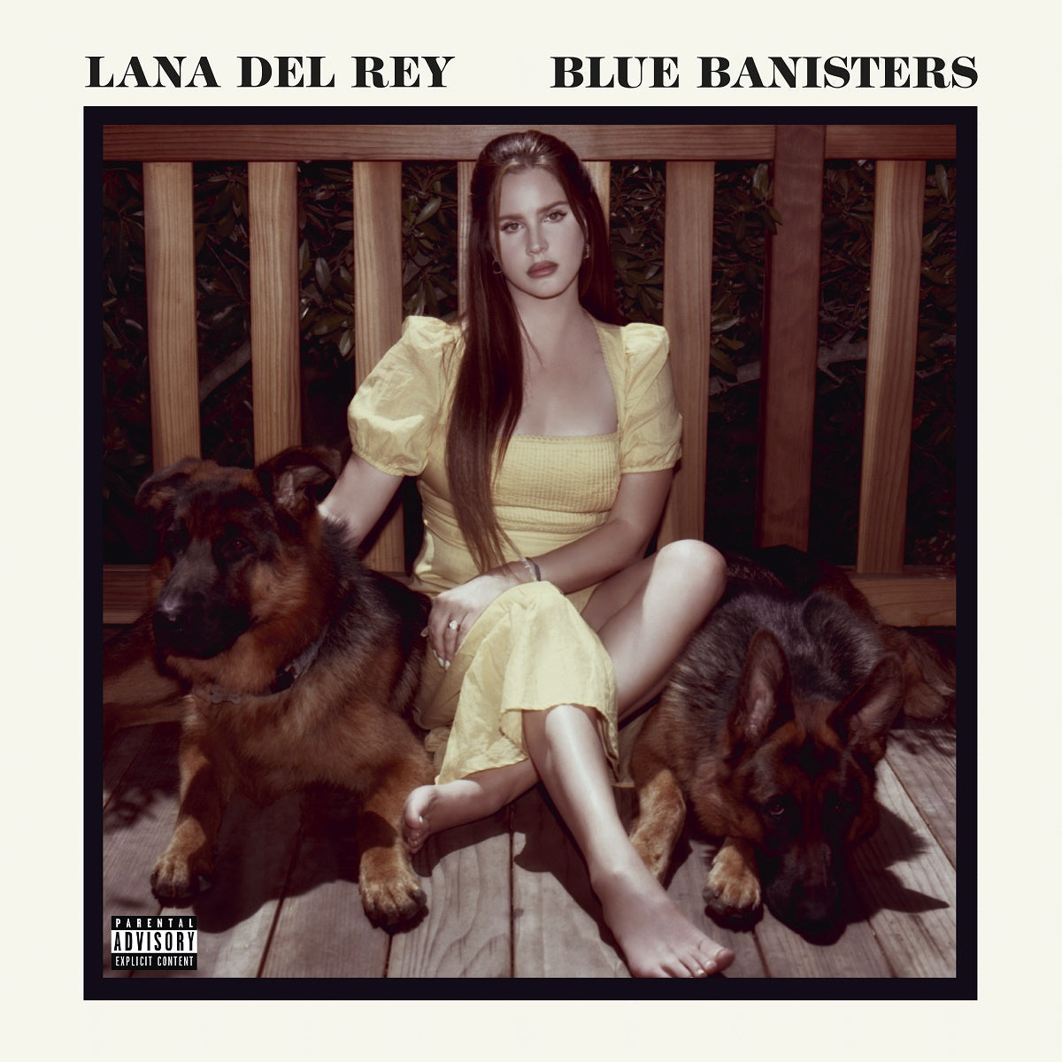 Lana Del Rey - Blue Banisters | Mint (M) Mint (M)-