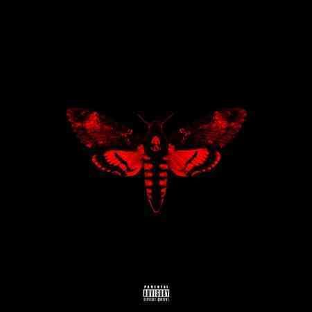 Lil Wayne - I Am Not A Human Being II (CD) | Mint (M) Mint (M)-
